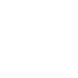 icon language